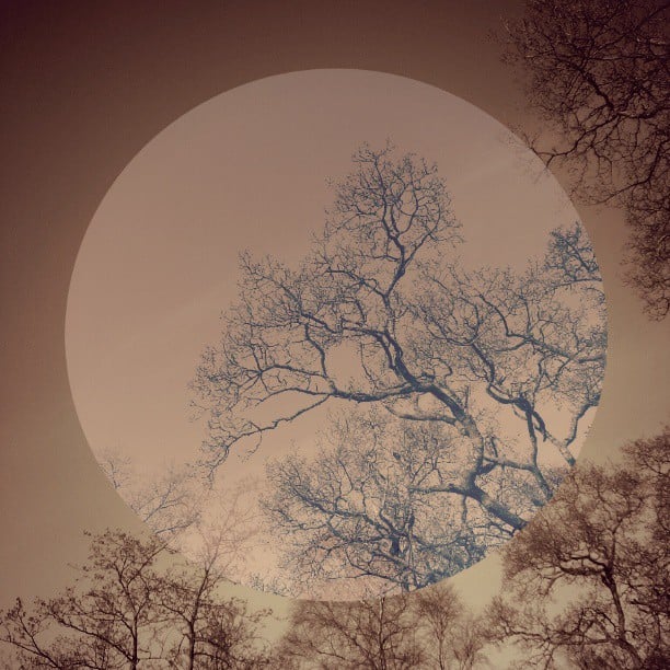 November 2025 Astrology: Surrender to the Unexpected