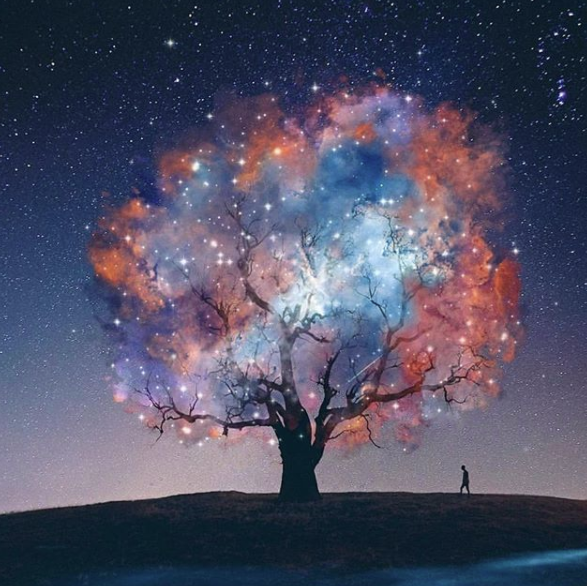 Your Weekly Tarot Reading for April 13 – April 19, 2025: Embrace the Unknown and Trust in the Flow 