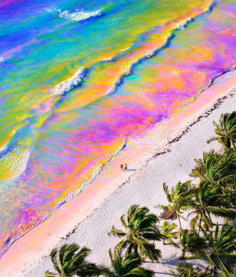 Weekly Horoscope for February 16: It’s Cool to Care